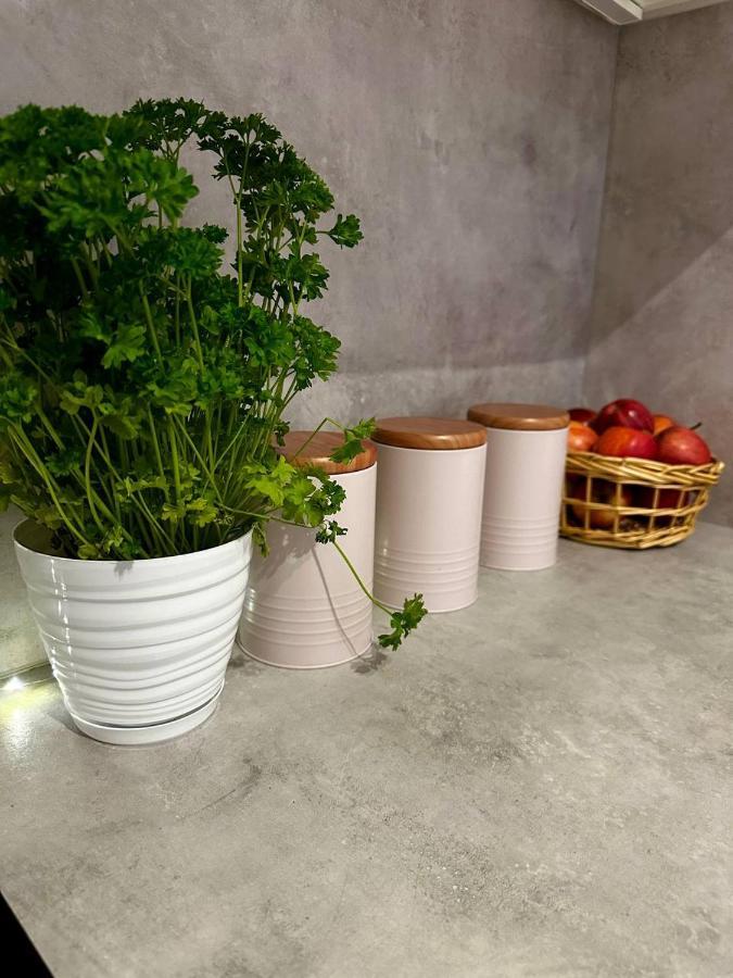 Apartament Centrum, Miejsce Parkingowe W Cenie ワルシャワ エクステリア 写真