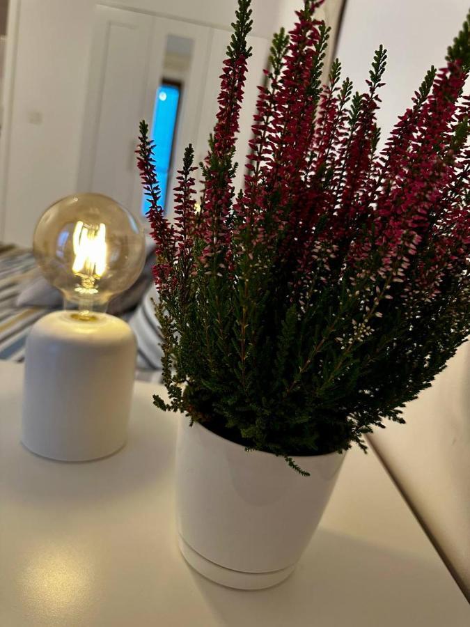 Apartament Centrum, Miejsce Parkingowe W Cenie ワルシャワ エクステリア 写真